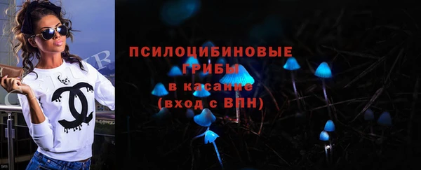 соль ск Алзамай