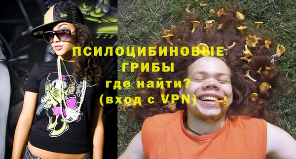 дмт Алексин