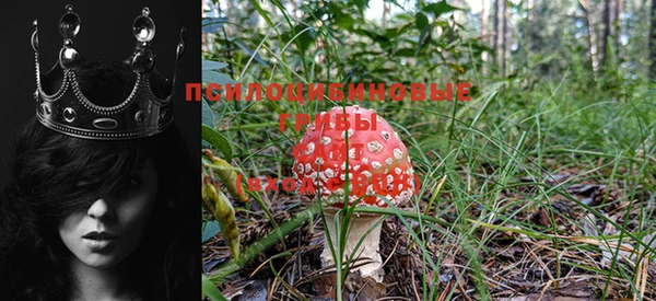 MDMA Алексеевка