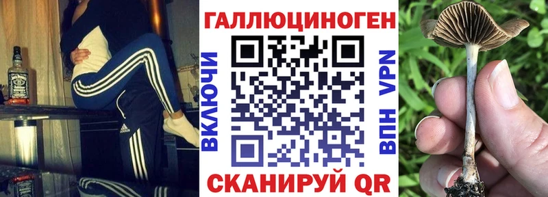 дарнет шоп  Дедовск  даркнет телеграм  Псилоцибиновые грибы мухоморы 